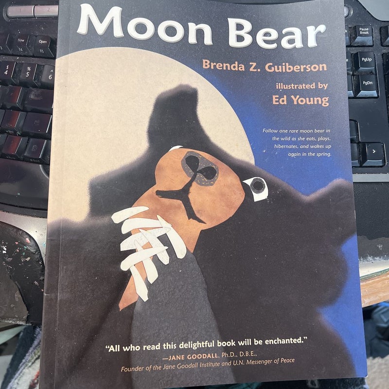 Moon Bear