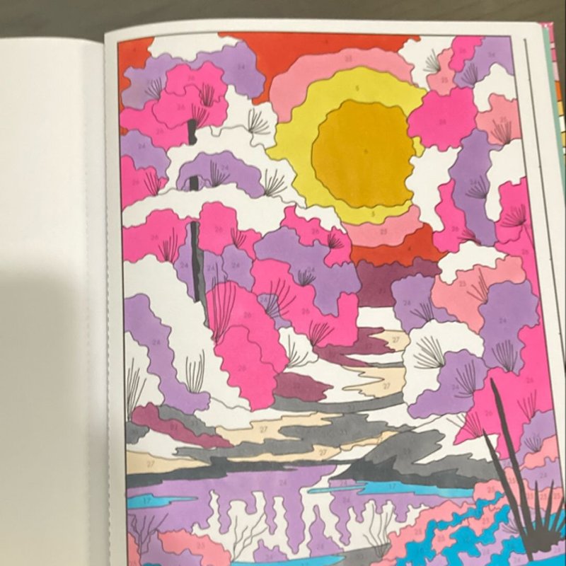 Bob Ross Color-By-Number by Editors of Thunder Bay Press