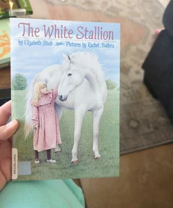 The white Stallion