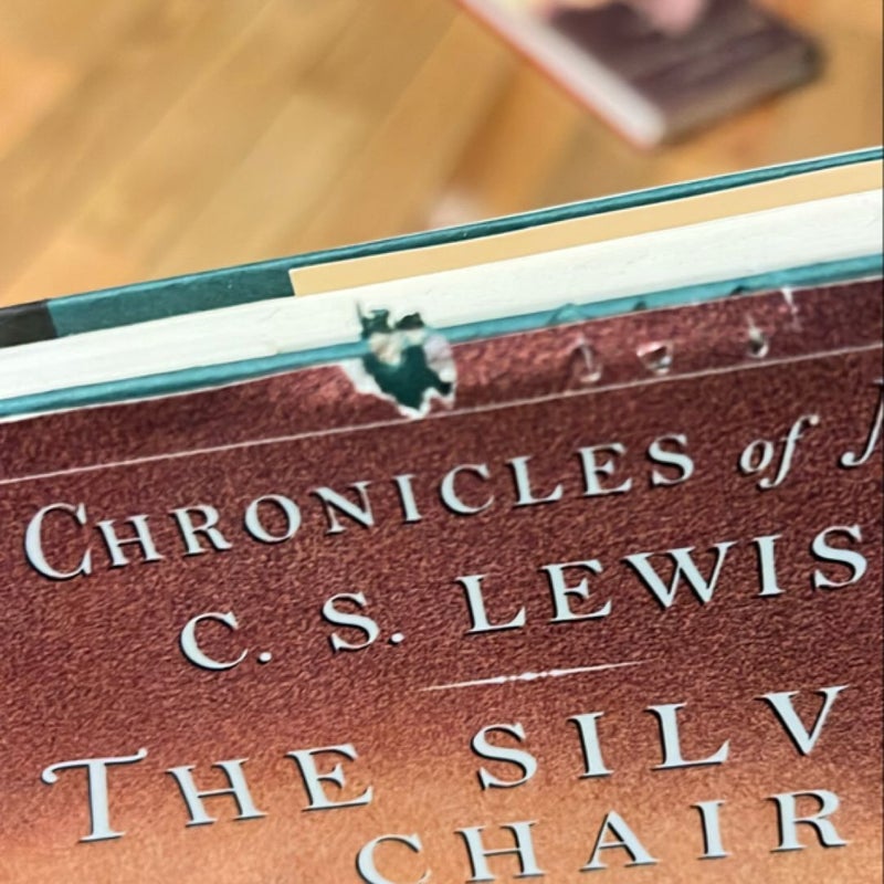 The Silver Chair