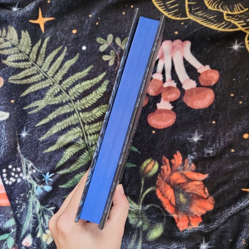 The Library at Hellebore