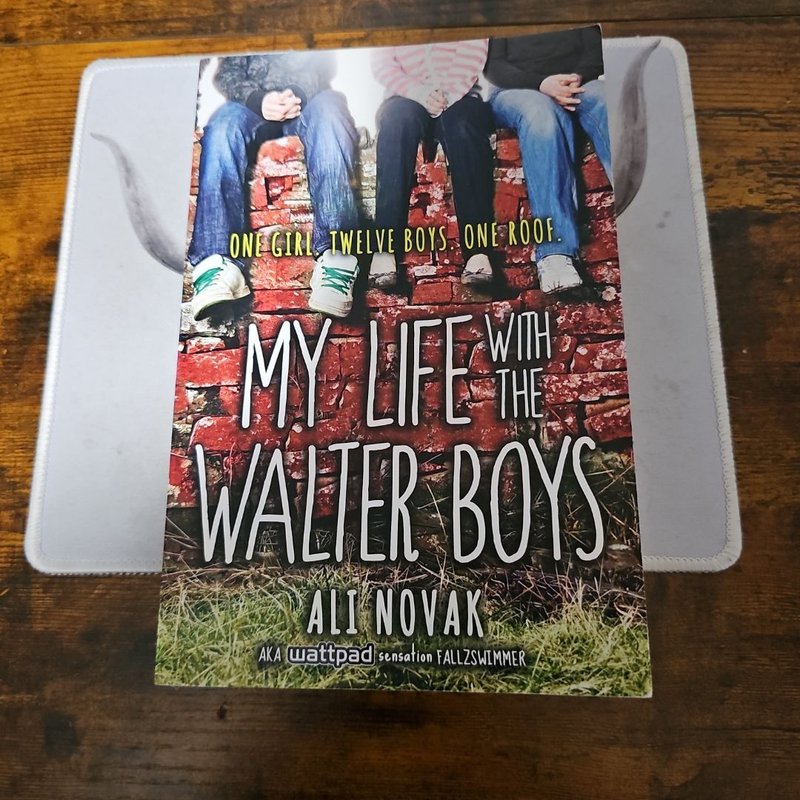 My Life with the Walter Boys