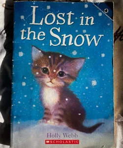 Lost in the Snow