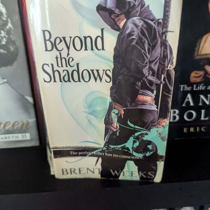 Beyond the Shadows