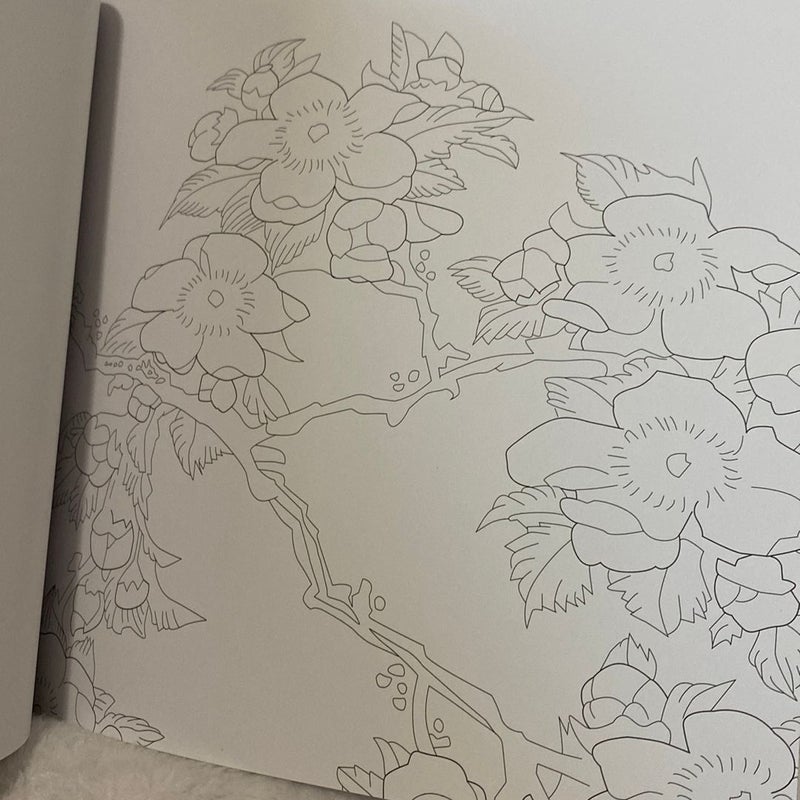 Touch of Asia Colouring Book