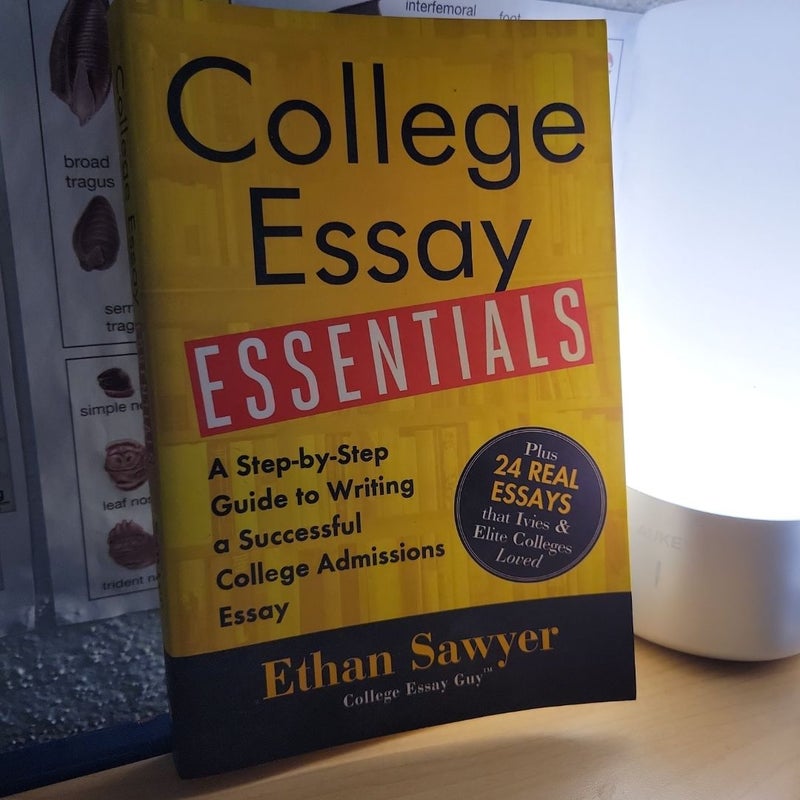 College Essay Essentials