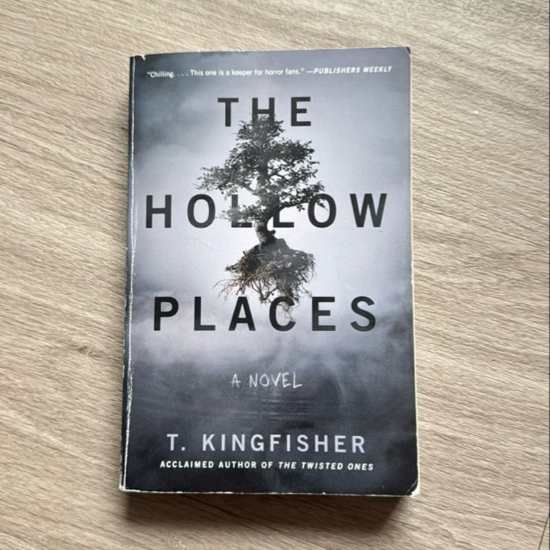 The Hollow Places