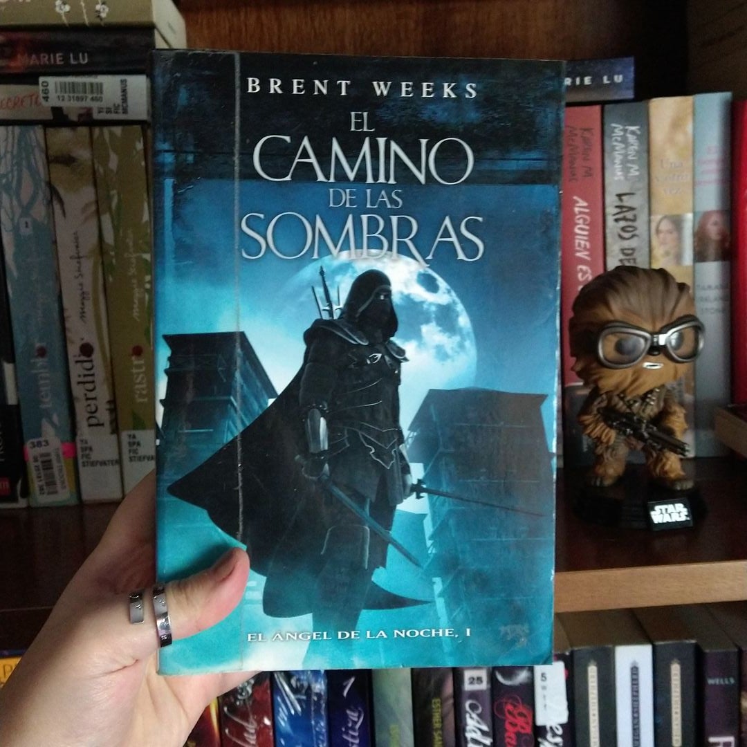 EL CAMINO DE LAS SOMBRAS