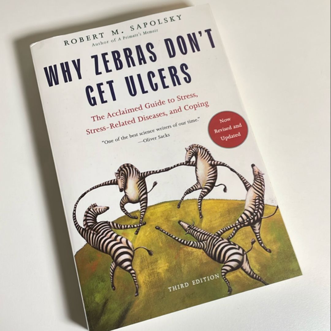 Sale image for d89943ff-512f-4cec-8399-7e39727a861e-ZBftbexiC7dDM5rhSji60aOmRb82