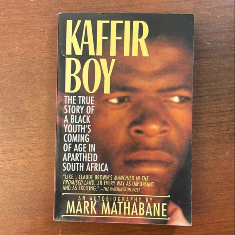 Kaffir Boy