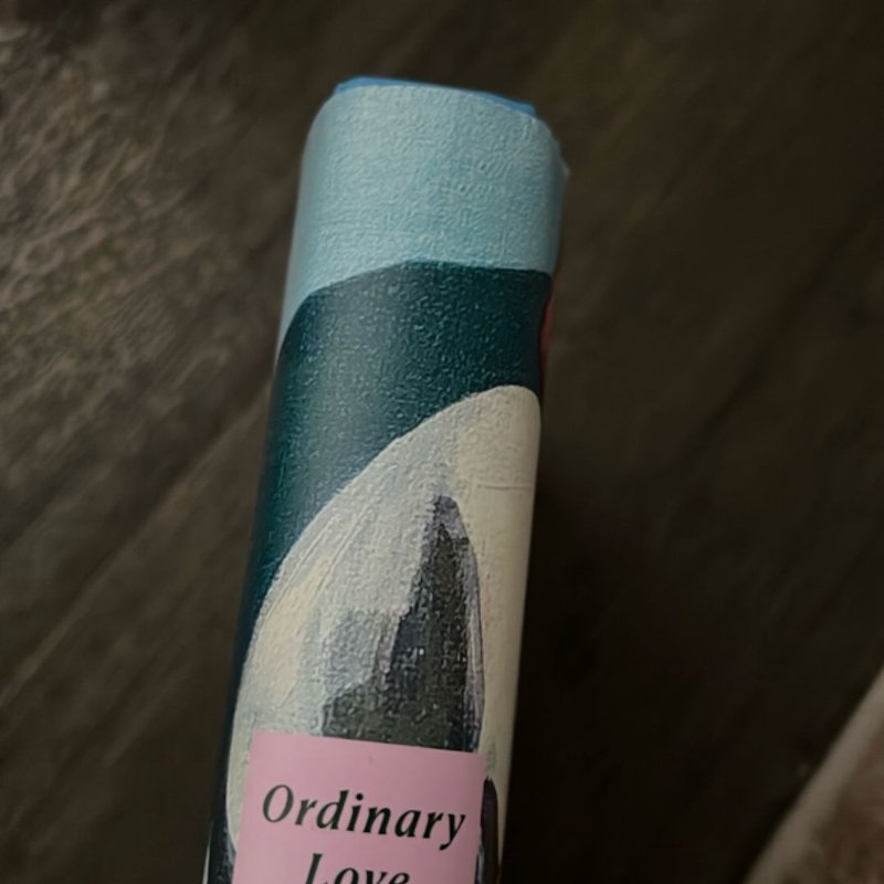 Ordinary Love