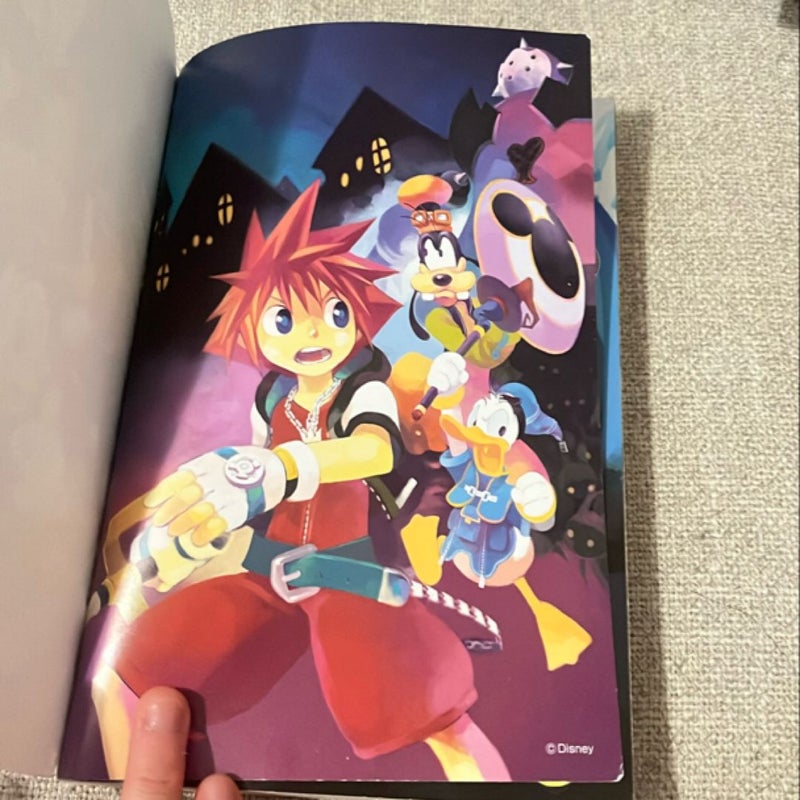 Kingdom Hearts: the Novel (light Novel)