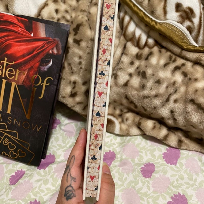 Baddies Book Box - Master of Sin by Sienna  Snow
