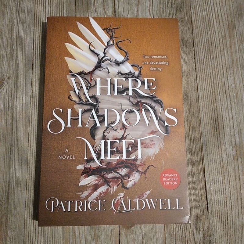 Where Shadows Meet