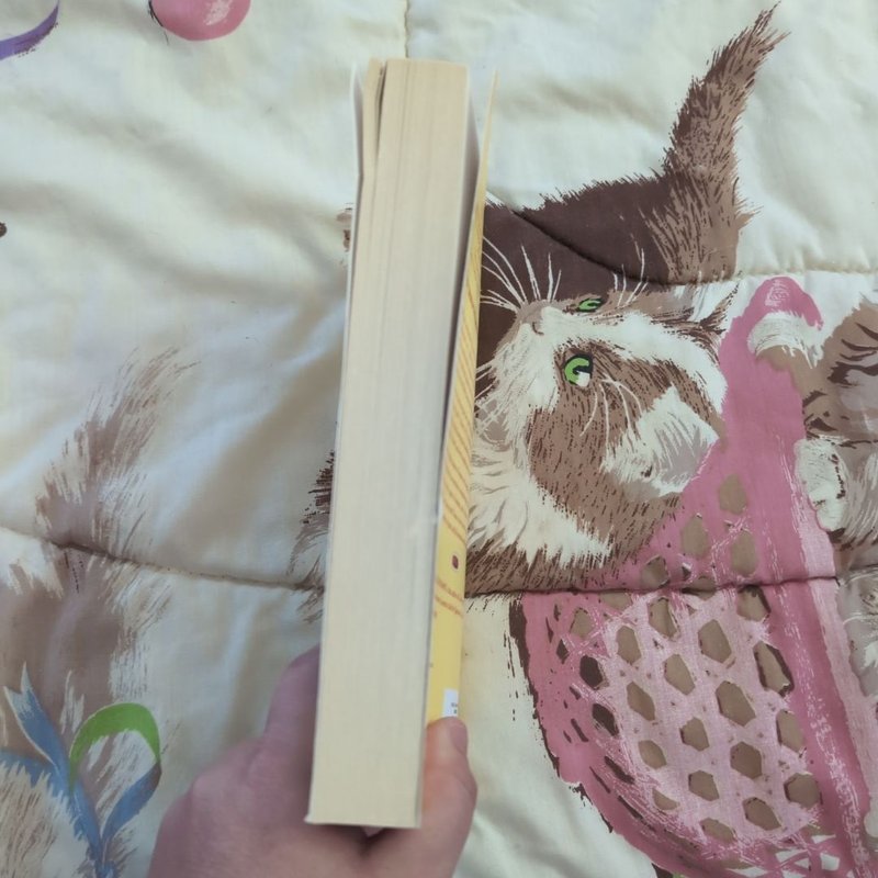 A Year of Biblical Womanhood