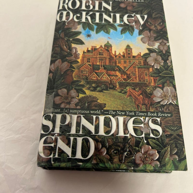 Spindle's End