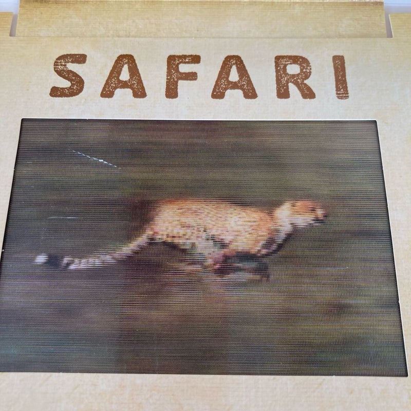 Safari