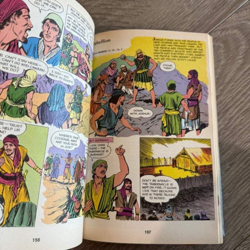 The Picture Bible Comic Art Book