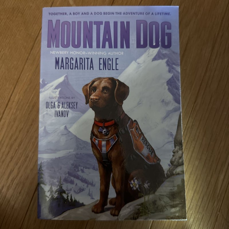 Mountain Dog