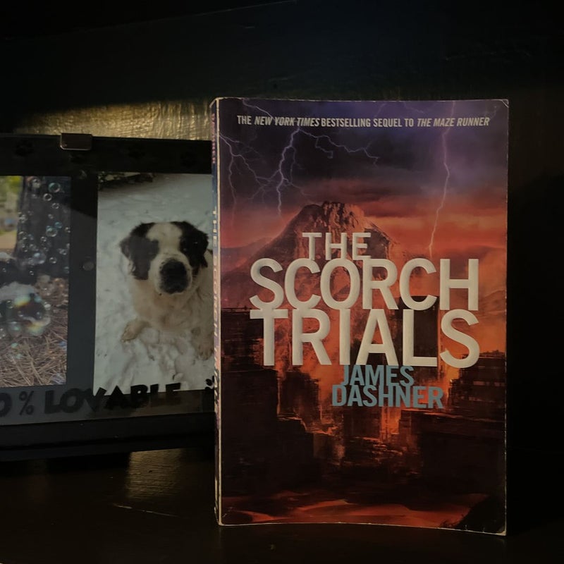  The Scorch Trials (Maze Runner, Book Two