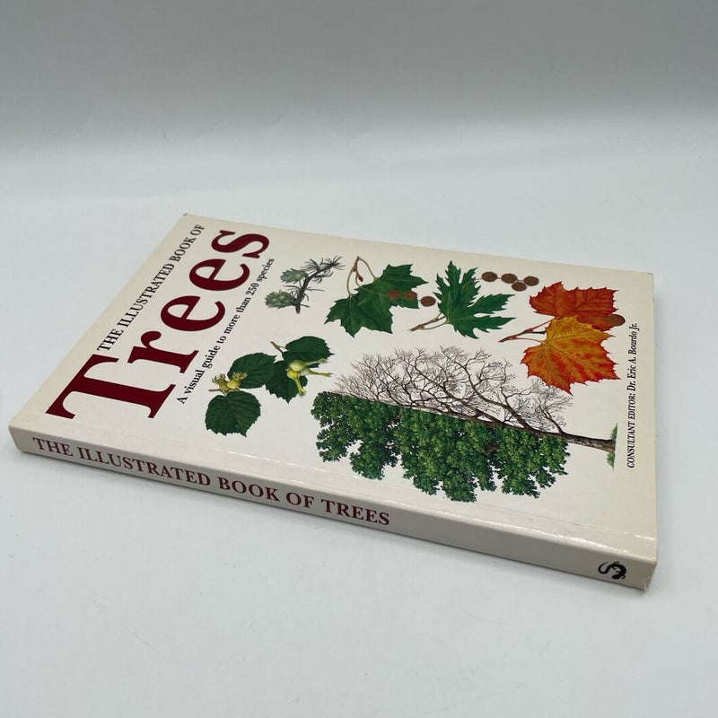 The Illustrated Book of Trees