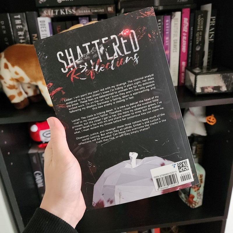 Shattered Reflections
