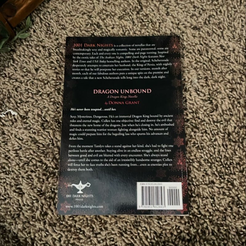 Dragon Unbound: a Dragon Kings Novella