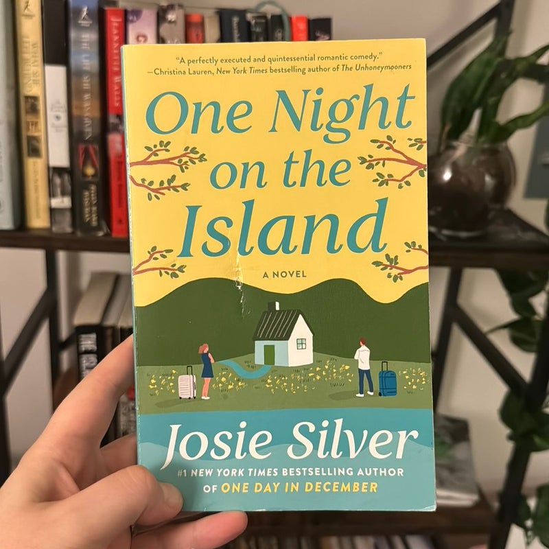 One Night on the Island