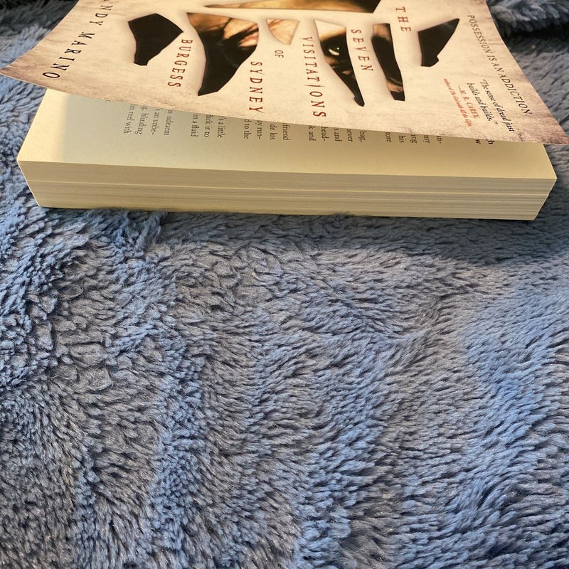 The Seven Visitations of Sydney Burgess