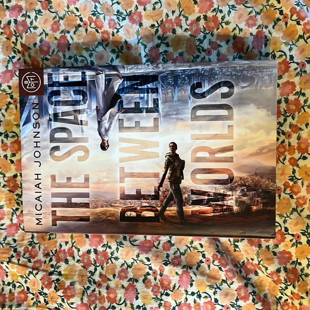 The Space Between Worlds