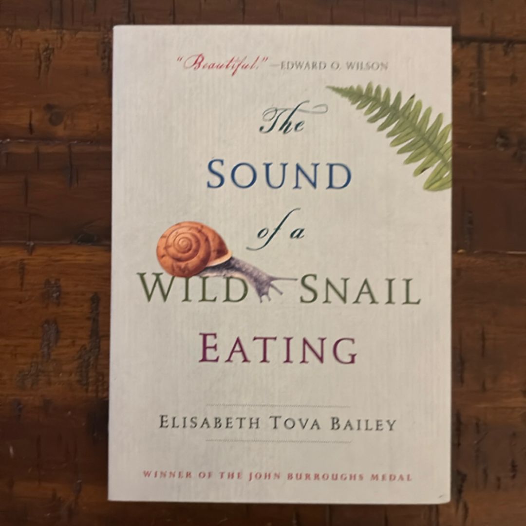 The Sound of a Wild Snail Eating