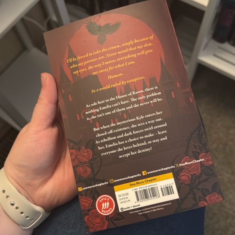 The Last Raven