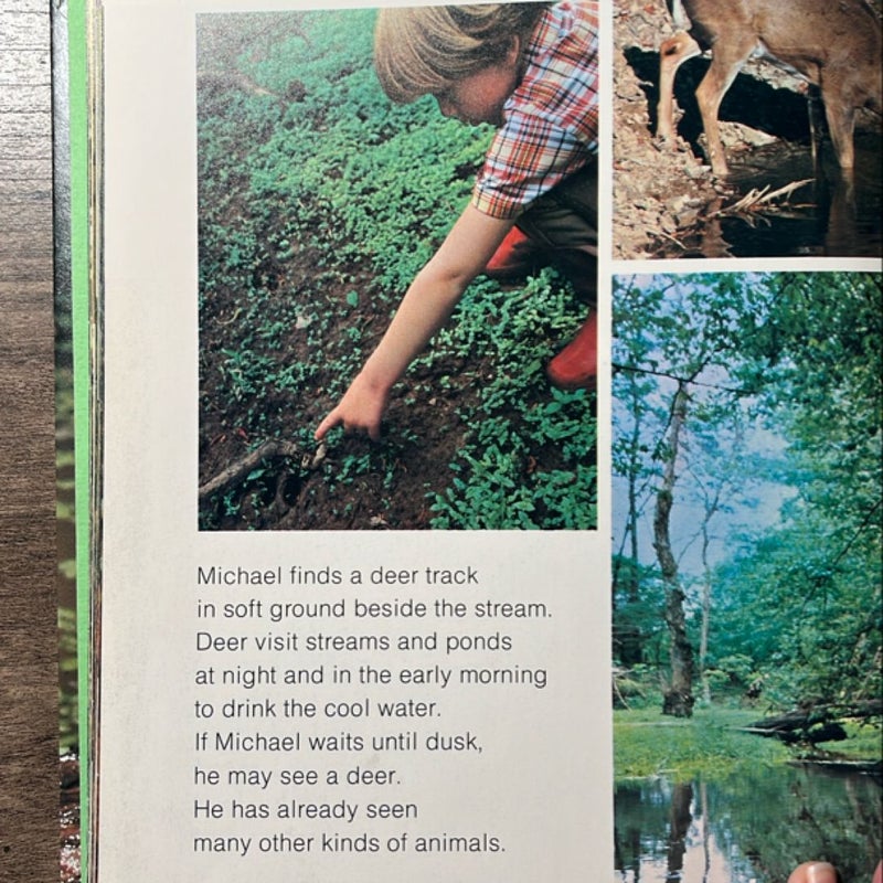 Life in Ponds and Streams