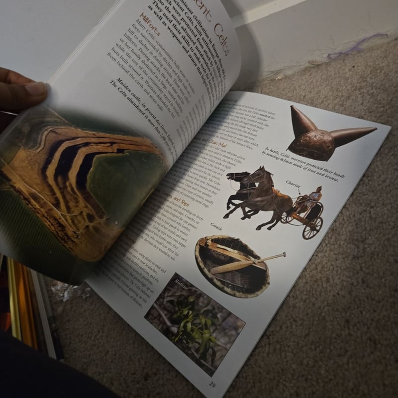 Technology in the Ancient World by , Paperback | Pangobooks