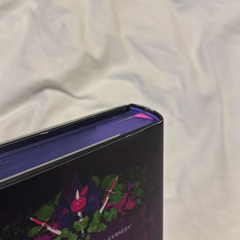 Fairy Tale Retellings, Volume I