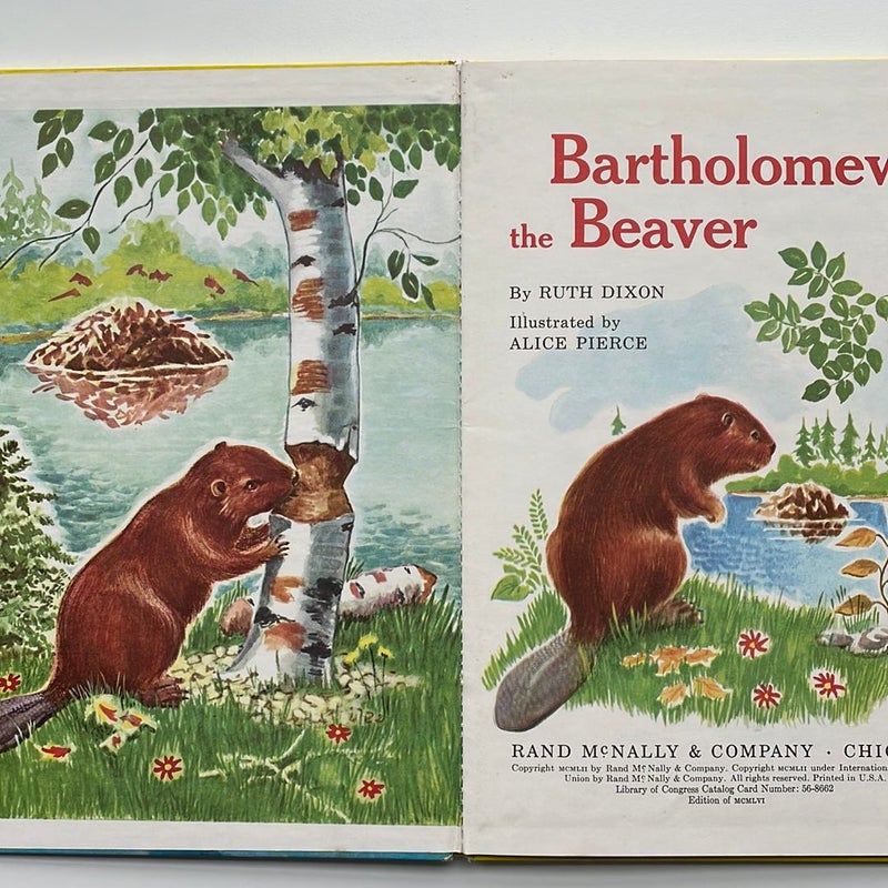 Bartholomew the Beaver - Vintage 