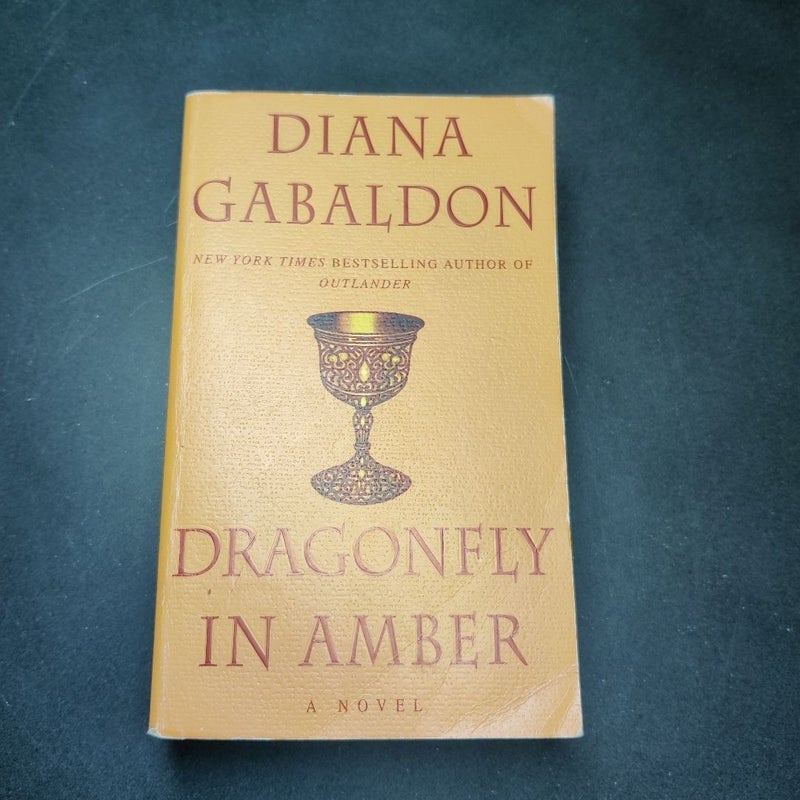 Dragonfly in Amber