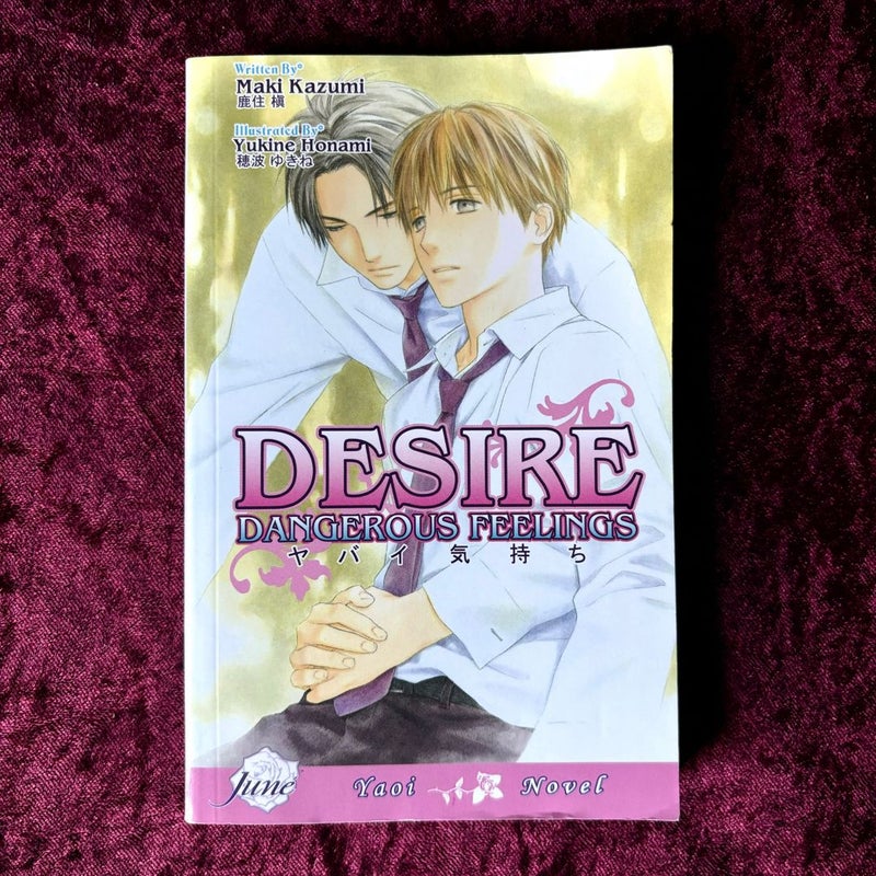 Desire (Yaoi Novel)