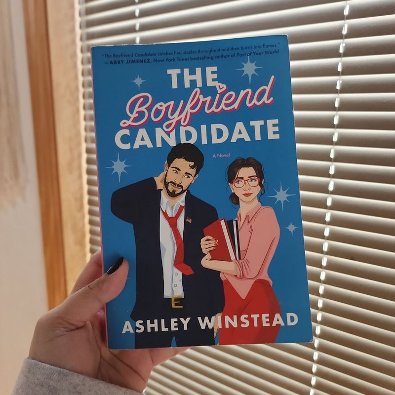 The Boyfriend Candidate