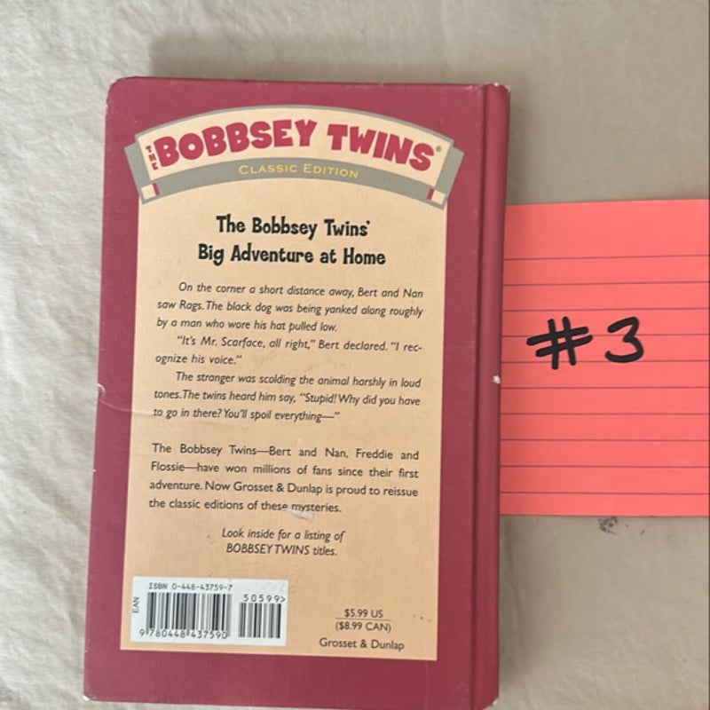 The Bobbsey Twins' Big Adventure at Home