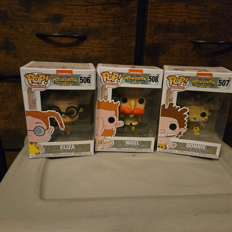 The Wild Thornberrys Shelf Decor