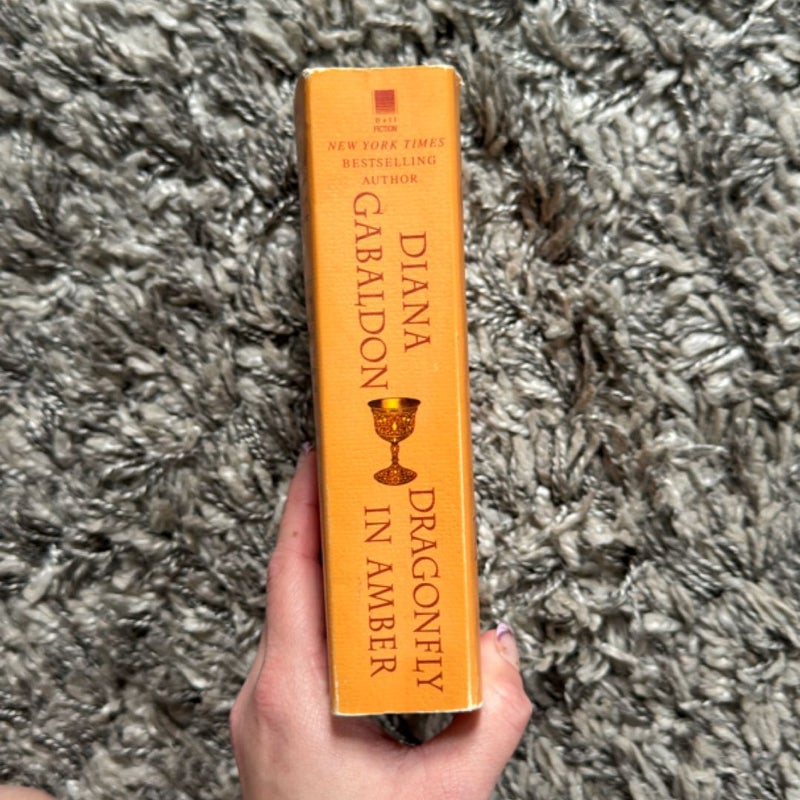 Dragonfly in Amber