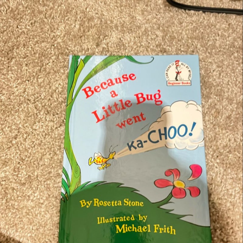 Because a Little Bug Went Ka-Choo!