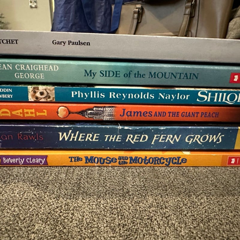 Classic Middle School Chapter Books