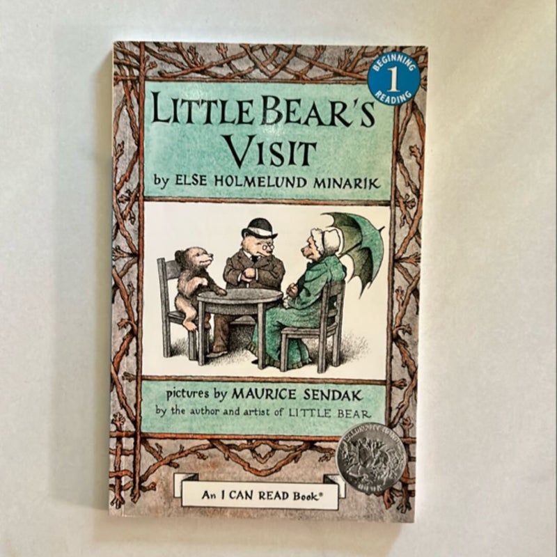 Little Bear's Visit