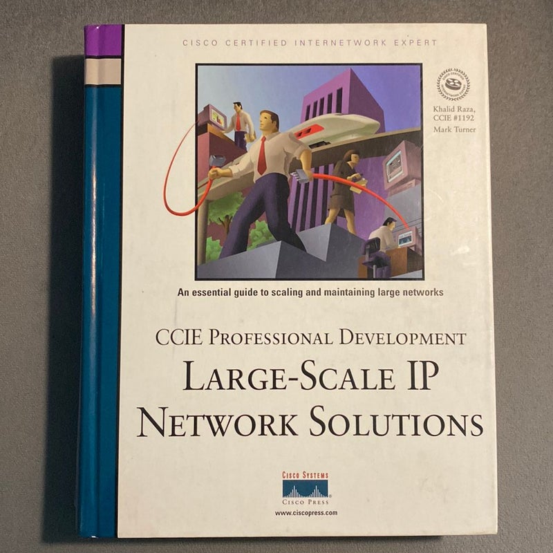 Large-Scale IP Network Solutions