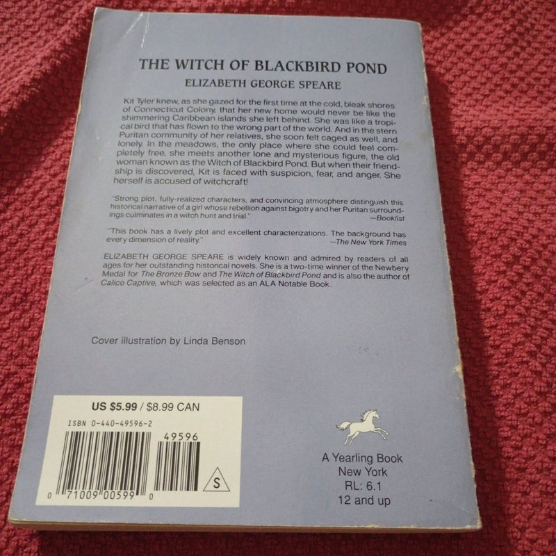 The Witch of Blackbird Pond