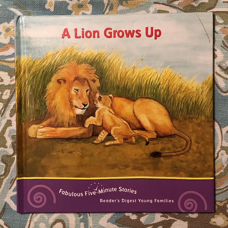 A Lion Grows Up