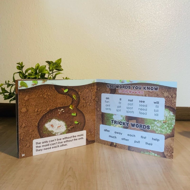 Ant Farmers (FSTK ONLY)