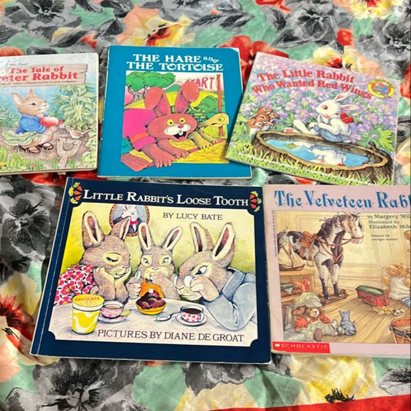 Rabbit Book Bundle